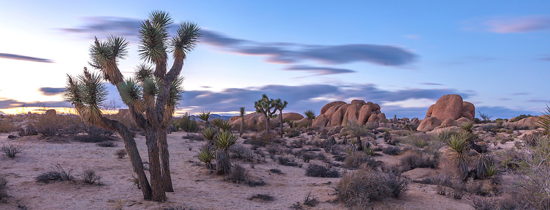 Sunset in Joshua Tree National Park. (Image credit: ©2018 – Dave Burdick Landscape Photography www.daveburdick.net)